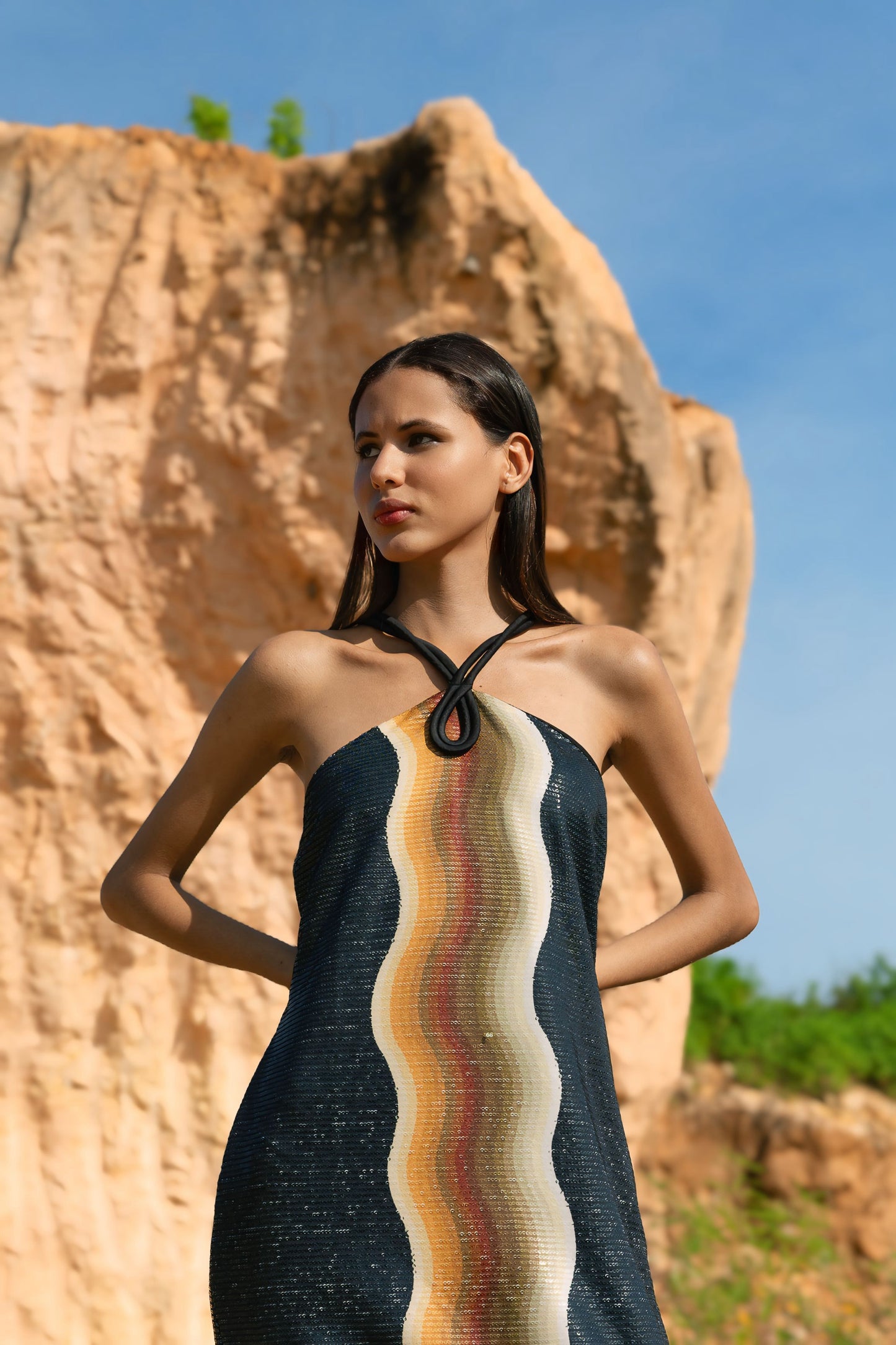 Tigre Black Dress